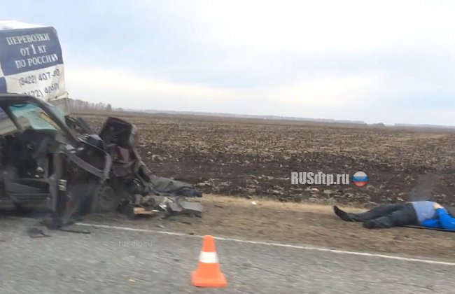 В Омской области водитель ГАЗели устроил ДТП, в котором погибли два человека