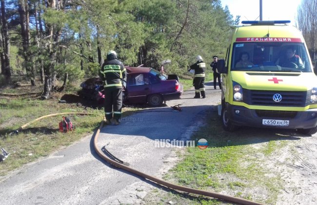 В Нововоронеже водитель «Нексии» уснул за рулем и погиб, врезавшись в столб