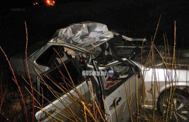 Автомобиль сбил лося под Костромой. Один человек погиб и трое пострадали