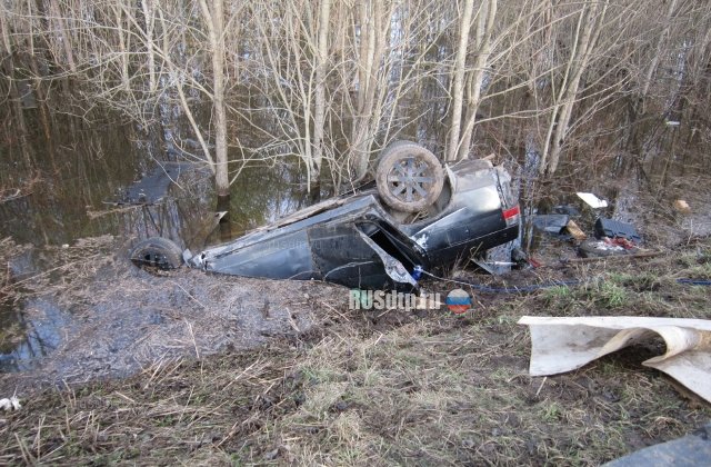 В Костромской области женщина-водитель и ее пассажир едва не утонули в канаве после ДТП