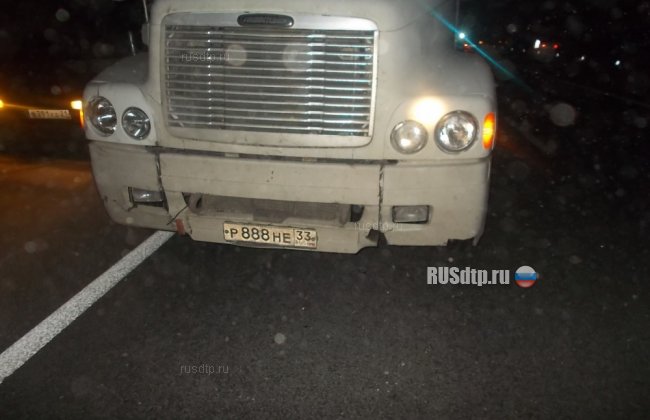 Один из водителей погиб при столкновении двух грузовиков во Владимирской области
