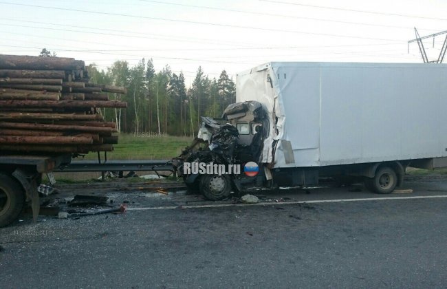 Водитель «Валдая» погиб при столкновении с лесовозом в Самарской области