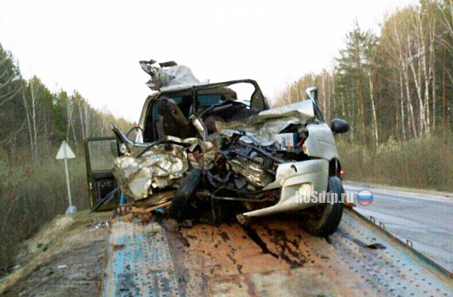 Женщина и двое подростков погибли в ДТП в Нижегородской области