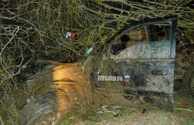 В Мышкинском районе автомобиль съехал в кювет. Один человек погиб и трое пострадали