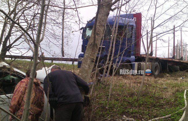 Три человека погибли под встречным лесовозом в Ленинградской области