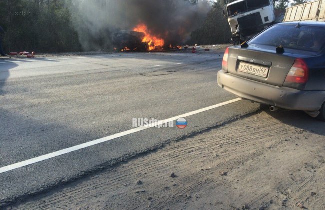 Два человека сгорели в машине в результате ДТП на трассе Санкт-Петербург – Псков