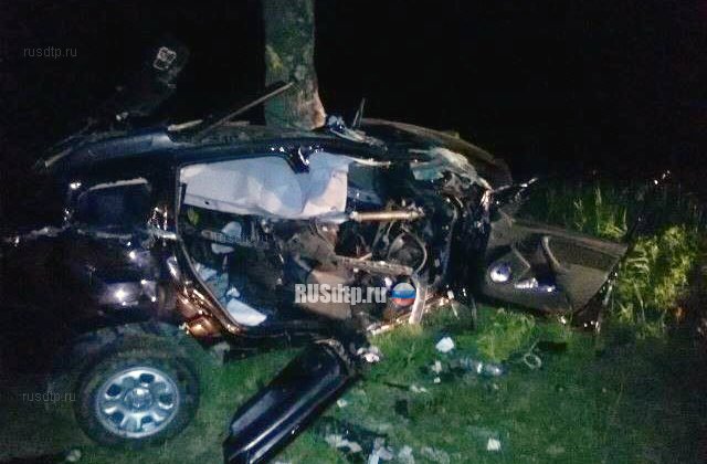 Три человека погибли при столкновении автомобиля с деревом под Армавиром