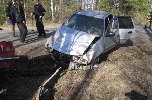 83-летний водитель «Запорожца» погиб в результате ДТП в Удмуртии