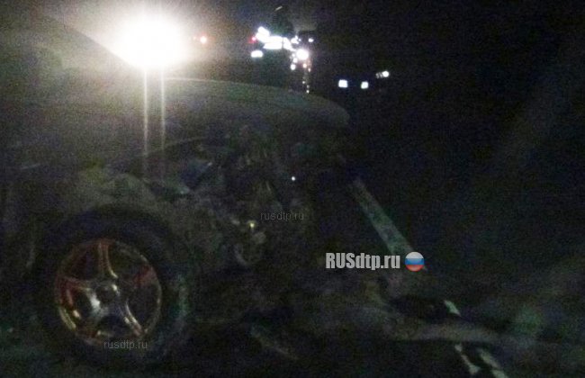 На автодороге Вологда &#8212; Новая Ладога водитель сбил лося и погиб