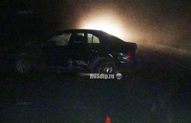 На автодороге Вологда &#8212; Новая Ладога водитель сбил лося и погиб