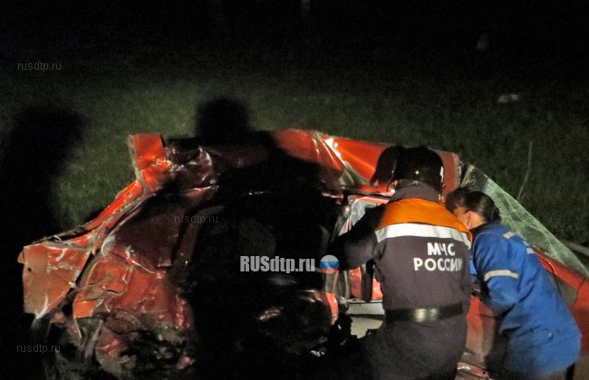 Водитель и его беременная супруга погибли в ДТП в Нижегородской области