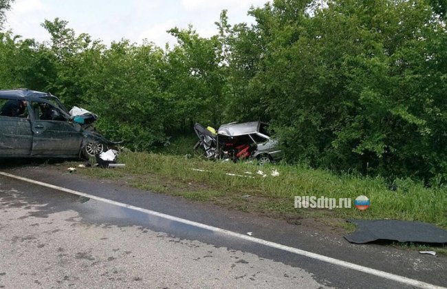 Четыре человека погибли на автодороге Ростов &#8212; Волгодонск. Фото с места ДТП