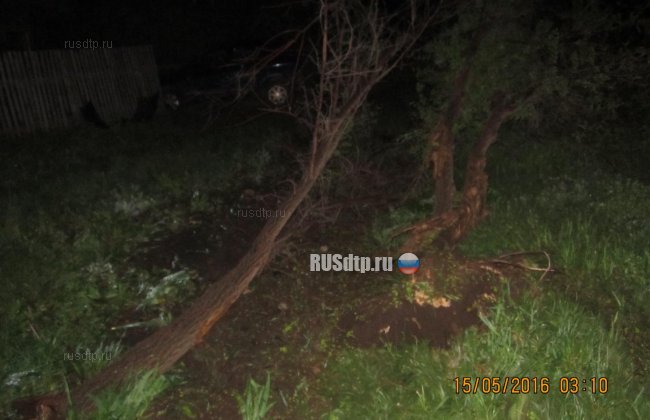 Компания студентов врезалась в дерево в Оренбургской области