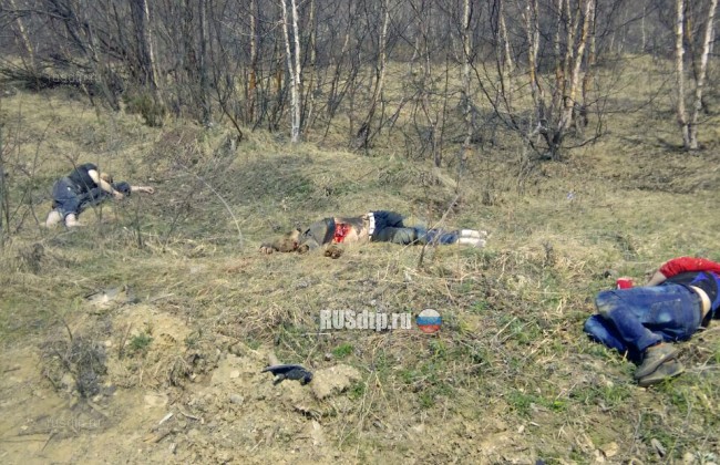 Число жертв "пьяного" ДТП на Камчатке достигло 5 человек. Фото с места трагедии