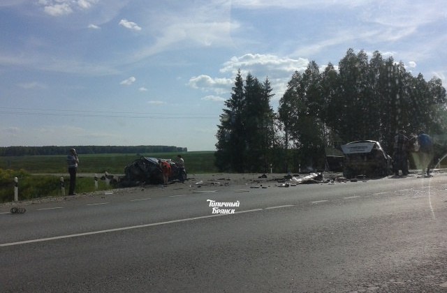 Отец и дочь погибли под Брянском