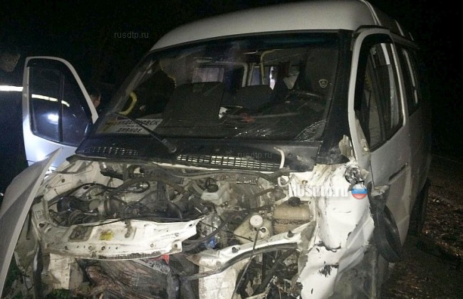 Один человек погиб и семь пострадали в ДТП с маршруткой на Ставрополье