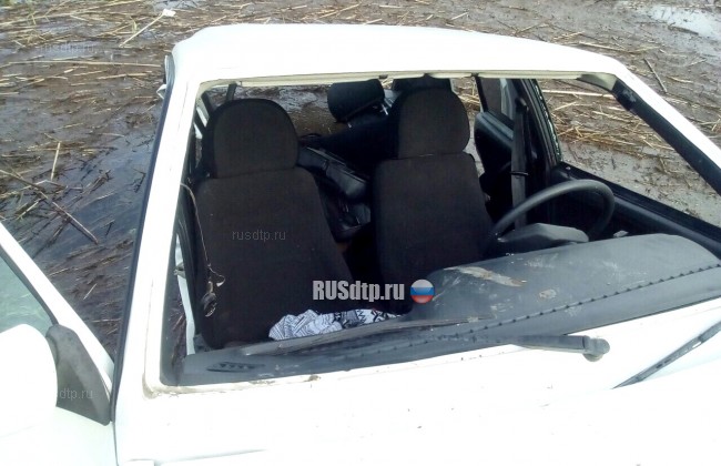 Две машины оказались в болоте в результате ДТП в Астраханской области