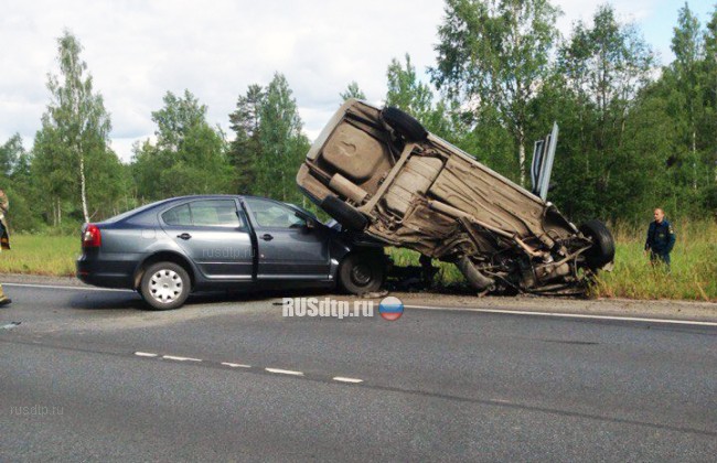 Два человека погибли в ДТП с полицейской машиной в Псковской области
