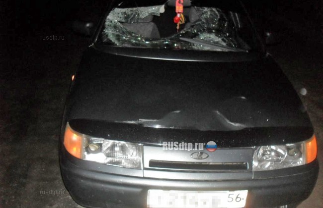 В Оренбургской области пьяный водитель насмерть сбил двух подростков
