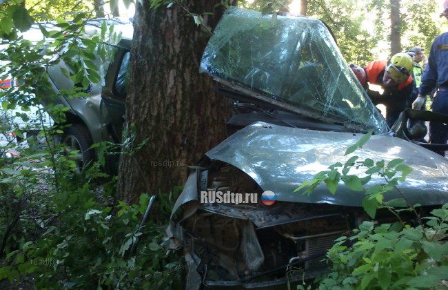Парень и девушка погибли при столкновении автомобиля с деревом в Ярославле
