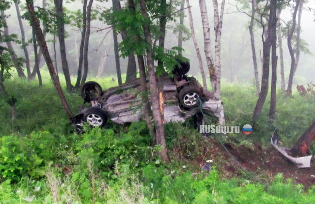 Лишенный прав водитель погиб в результате ДТП в Приморье