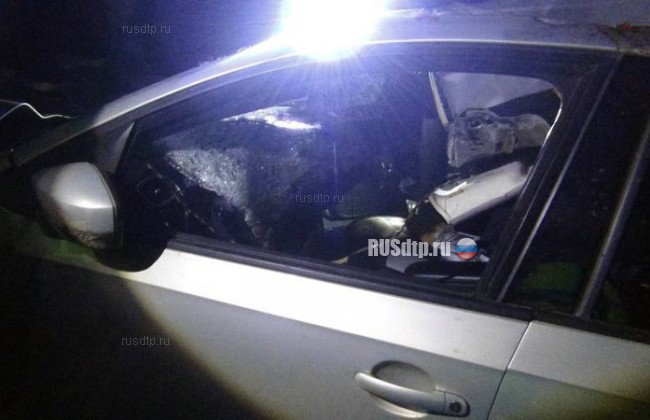 В Рязанской области водитель погиб, сбив лося на дороге