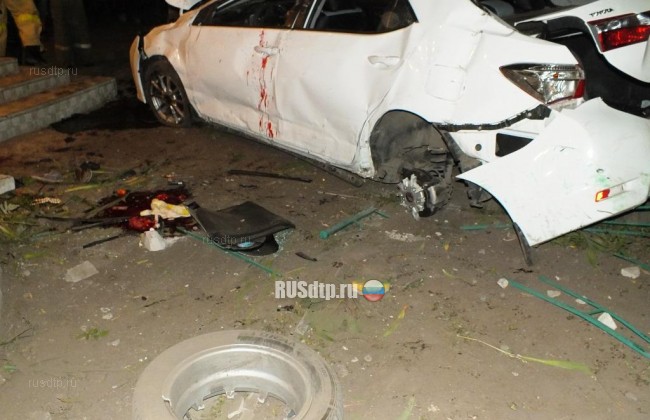 В Воронежской области пьяный водитель сбил мать с двумя детьми. Двое погибли