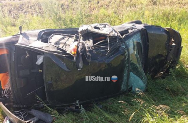 Два человека погибли в перевернувшемся «Mitsubishi» в Самарской области