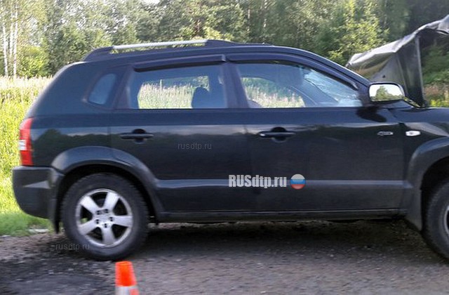 Ребенок погиб по вине пьяного водителя на трассе «Скандинавия»