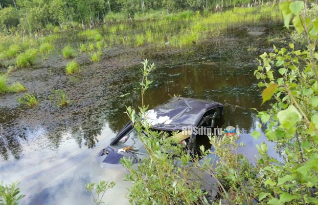 Два человека утонули на машине в болоте на Серовском тракте