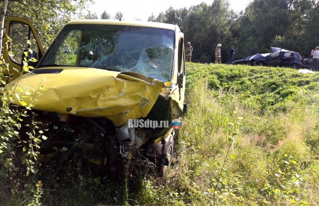 Два человека погибли и 8 пострадали в ДТП с микроавтобусом в Калужской области