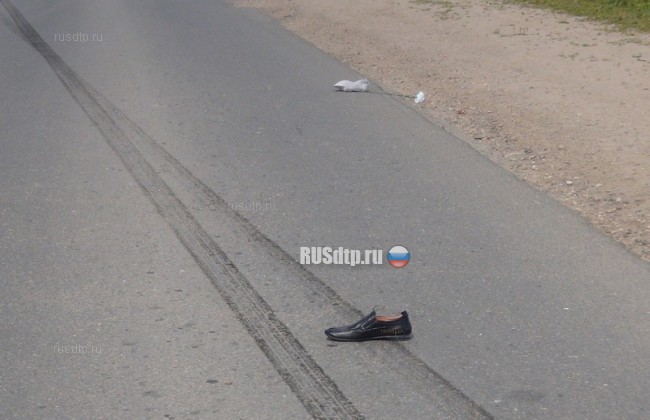 В Вологодской области погиб велосипедист