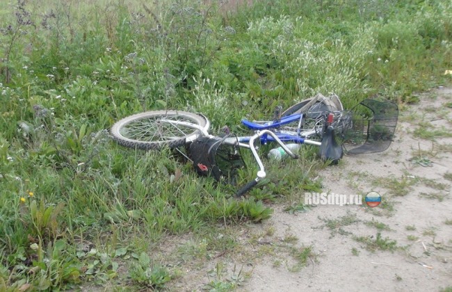В Вологодской области погиб велосипедист