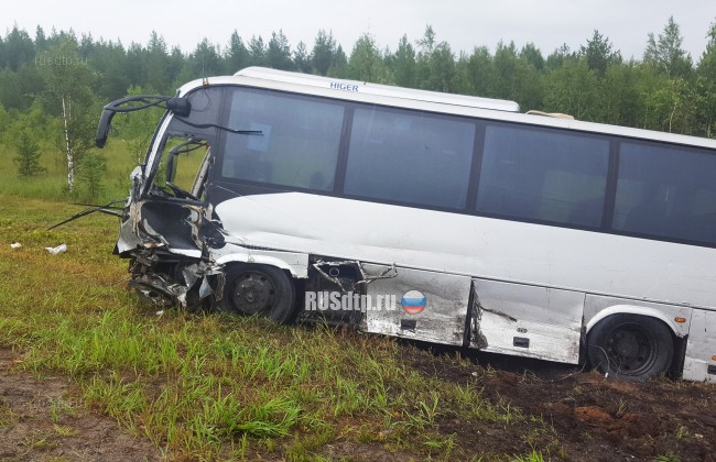 Один человек погиб и четверо пострадали в ДТП с рейсовым автобусом в Карелии