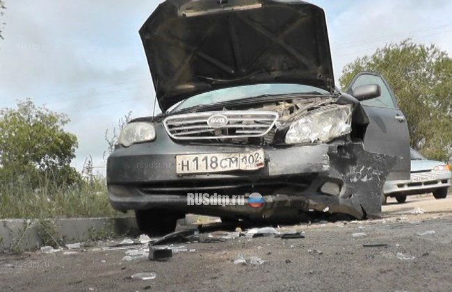 В Челябинской области области две машины столкнулись из-за выбежавшего на дорогу кота
