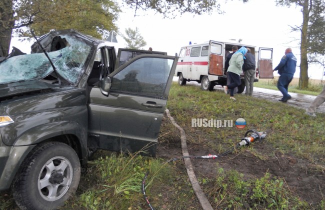 15-летний подросток погиб при столкновении УАЗа с деревом в Орловской области