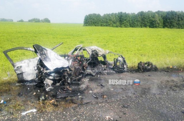 Три человека, в том числе ребенок, погибли в ДТП на трассе М-5 в Рязанской области