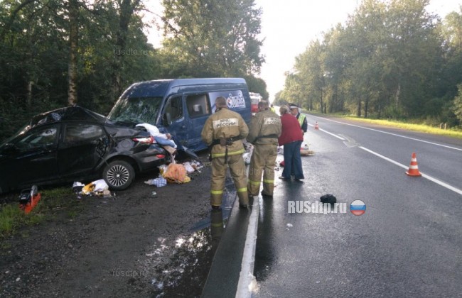 Жители Мурманской области погибли в ДТП на трассе Санкт-Петербург &#8212; Невель