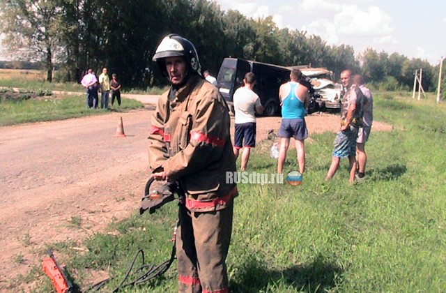 10 человек пострадали в ДТП с микроавтобусом и грузовиком в Липецкой области