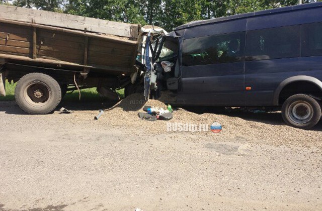 10 человек пострадали в ДТП с микроавтобусом и грузовиком в Липецкой области