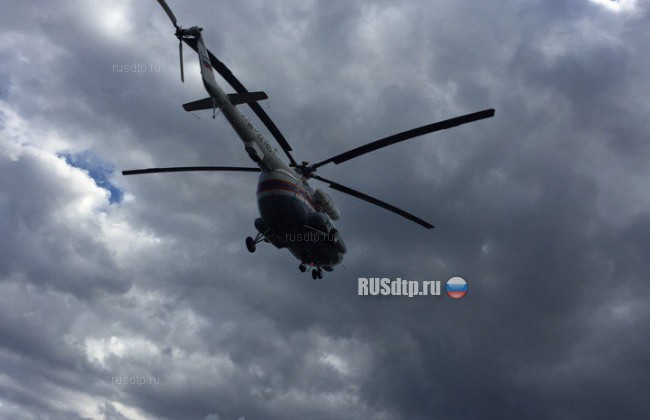 В Петербурге в ДТП с участием военных пострадали 8 человек
