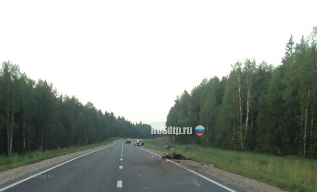 На трассе Москва-Архангельск водитель погиб, сбив лося
