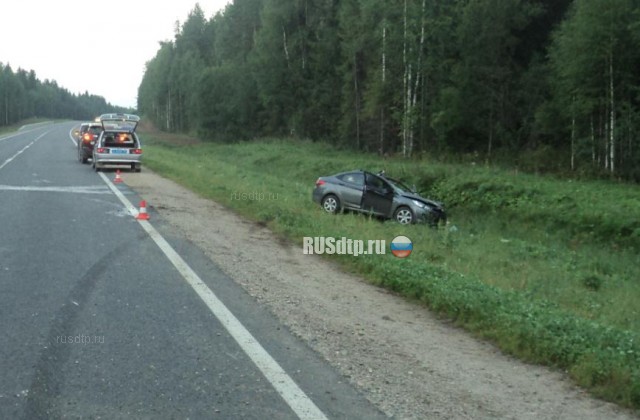На трассе Москва-Архангельск водитель погиб, сбив лося