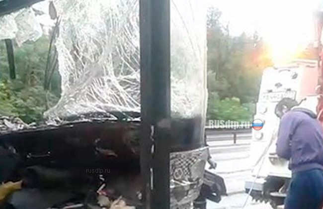 Автобус «Санкт-Петербург – Москва» попал в ДТП в Подмосковье. Двое погибли