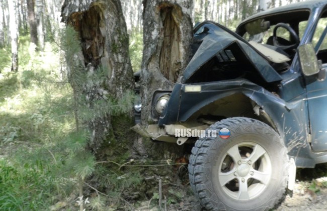 Водитель «Нивы» погиб при столкновении автомобиля с деревом в Екатеринбурге