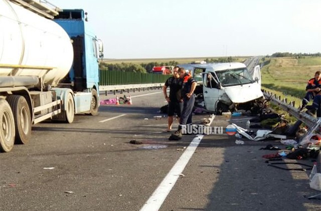 В Ростовской области микроавтобус налетел на отбойник. Погибли 2 человека