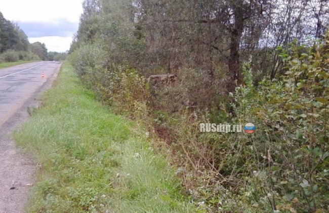В Псковской области двое мужчин погибли в перевернувшейся машине
