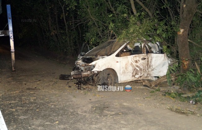 В Ростовской области при столкновении автомобиля с деревом погибла 12-летняя школьница