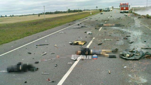 7 человек погибли в ДТП с участием микроавтобуса и грузовика в Ленинградской области