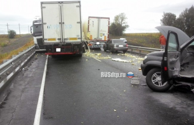 Семь автомобилей столкнулись на трассе «М-5 Урал» в Ульяновской области